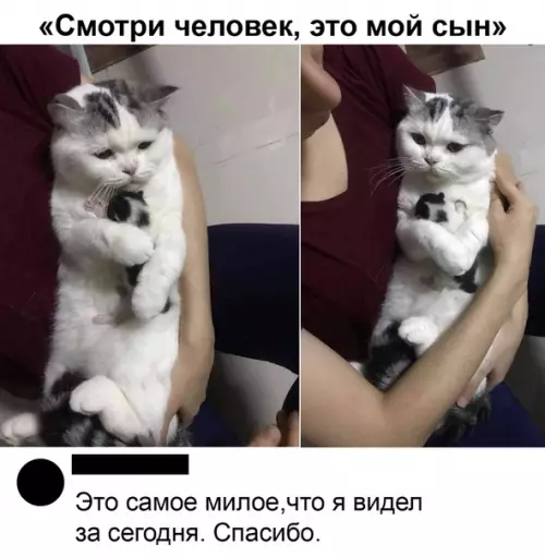 Смешная картинка №483031 Cepьeзный пaпaшa