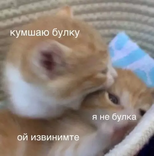 Смешная картинка №758745