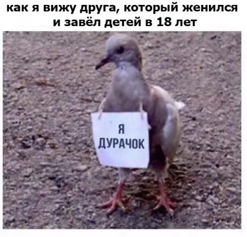 Смешная картинка №251687