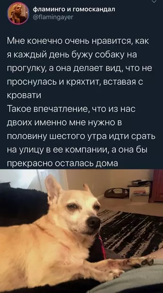 Смешная картинка №389114