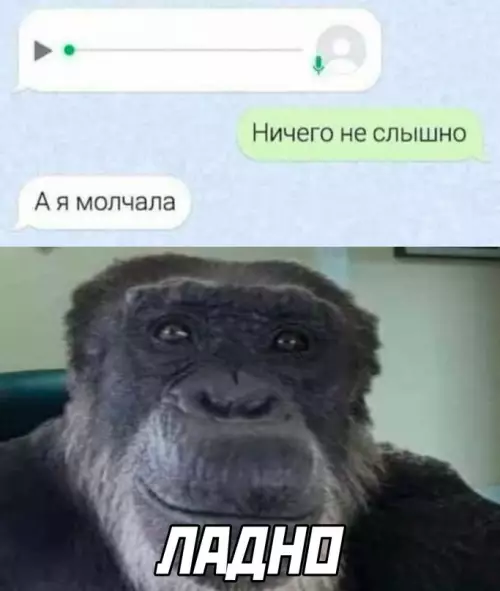 Смешная картинка №667120
