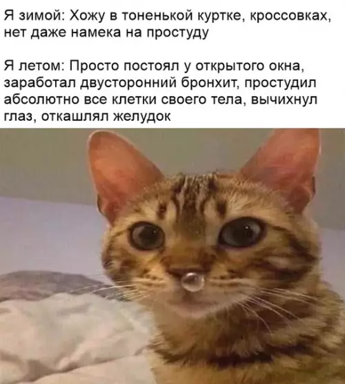 Смешная картинка №365655