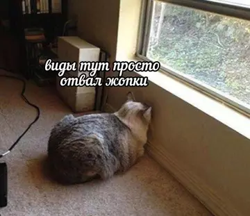 Смешная картинка №774079