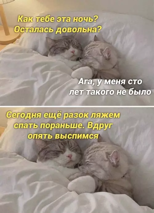 Смешная картинка №659156