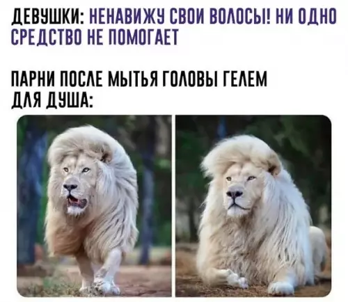Смешная картинка №539025 Или хозяйственным мылом