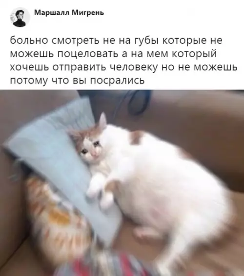Смешная картинка №315673 мемы