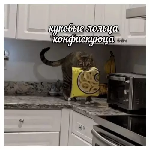 Смешная картинка №738231