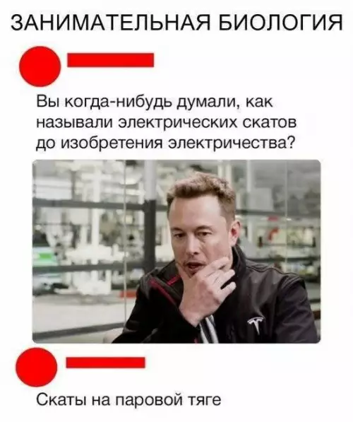 Скаты на паровой тяге ⚡️🐟 - ЗАНИМАТЕЛЬНАЯ БИОЛОГИЯ. Вы когда-нибудь думали, как называли электрических скатов до