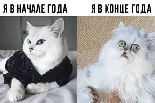 Смешная картинка №669199