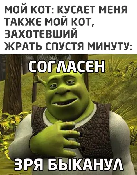 Смешная картинка №556333