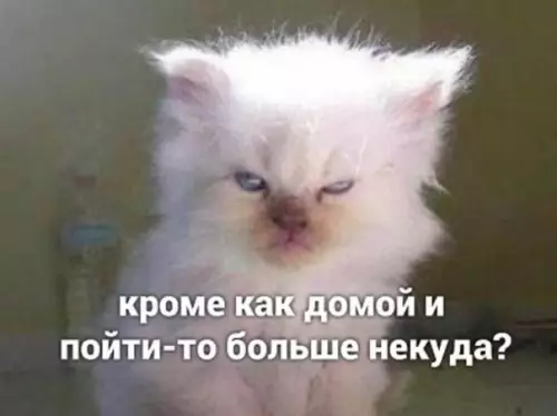 продолжение Смешная картинка №578025 Жизa