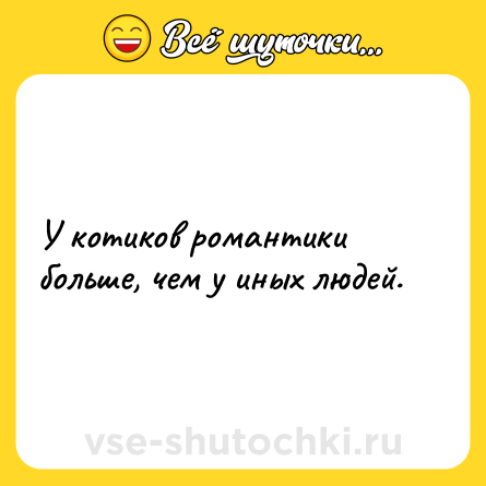 Шутка: У котиков романтики больше, чем у иных людей.