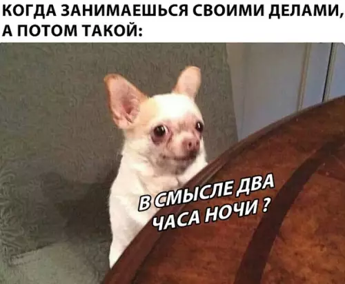 Смешная картинка №311759