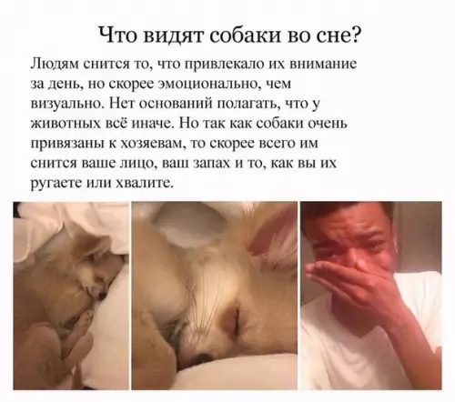 Смешная картинка №270687