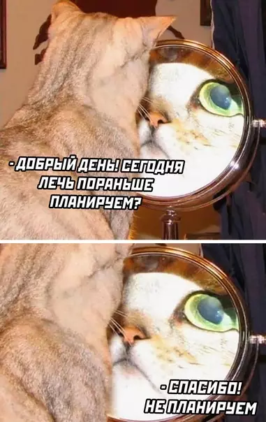 Смешная картинка №611393