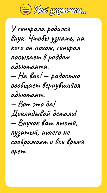 У генерала родился внук. Чтобы узнать, на кого он похож,