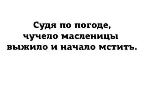 Смешная картинка №252811 масленица