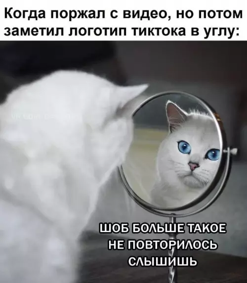 Смешная картинка №702405 Это было первый и последний раз