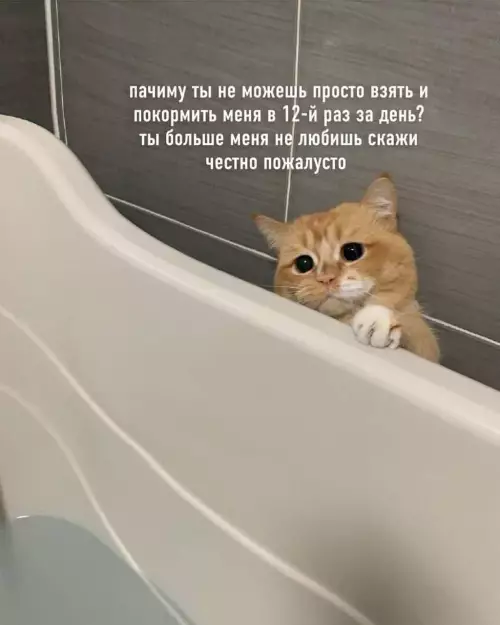 Смешная картинка №788728