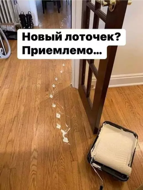 Когда купил лоток подешевле 🐈‍⬛😂 - Новый лоток? Приемлемо...