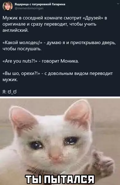 Смешная картинка №514018
