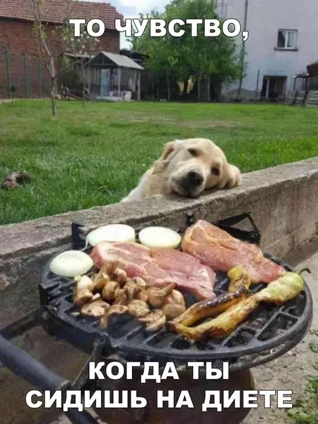 Смешная картинка №294400