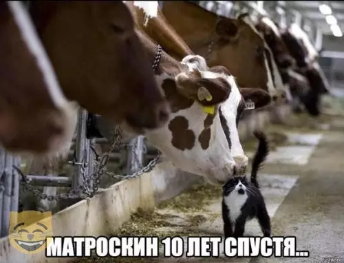 Смешная картинка №385877 #приколы #картинки #мемы ?