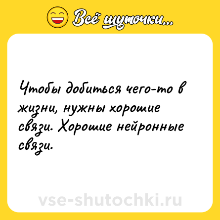 Шутка: Чтобы добиться чего-то в жизни, нужны хорошие связи. Хорошие нейронные связи.