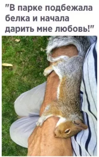 Смешная картинка №290930