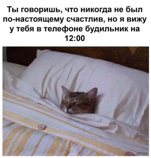Смешная картинка №355435