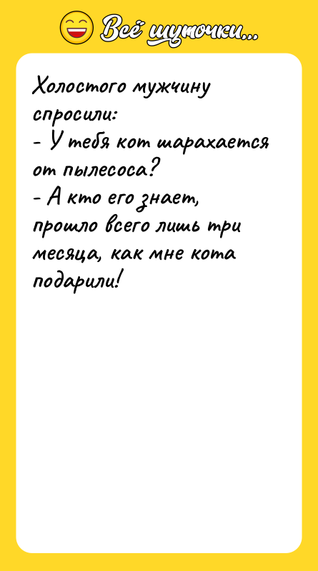 Холостого мужчину спросили: - У тебя кот шарахается от пылесоса?