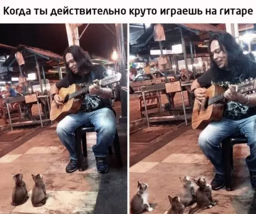 Смешная картинка №518345 Ценителям понравилось