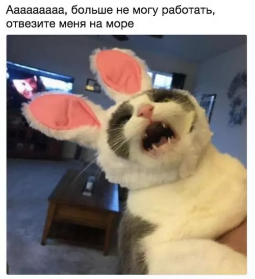 Смешная картинка №368768 Крик души