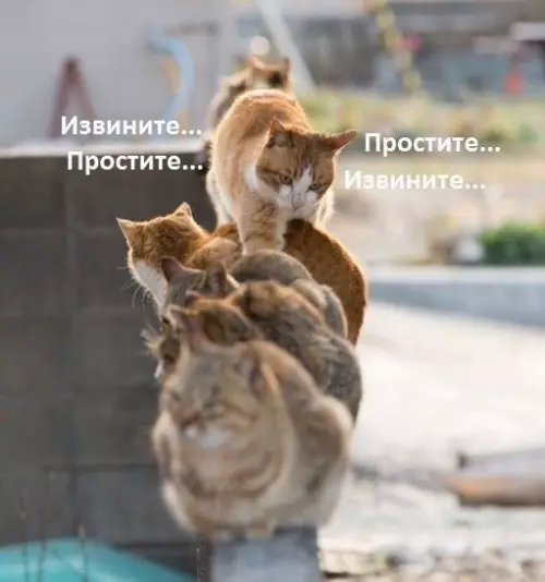 Смешная картинка №295234