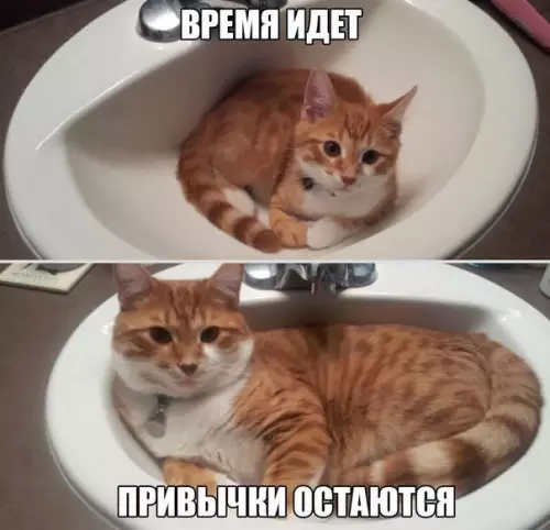 Смешная картинка №234579