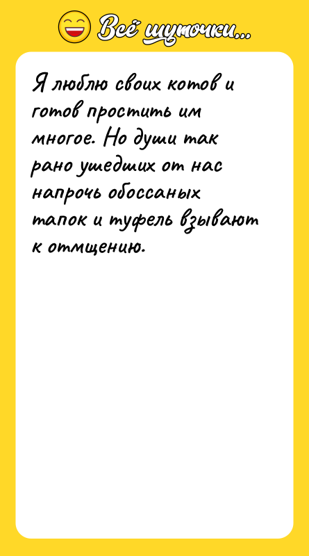 Я люблю своих котов и готов простить им многое. Но