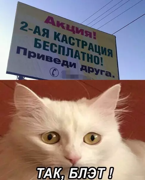 Смешная картинка №282396
