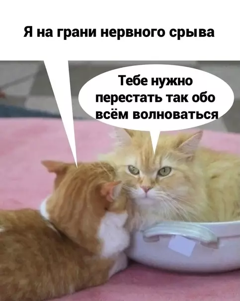 Смешная картинка №572483