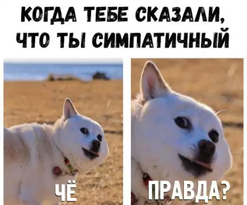 Смешная картинка №239050