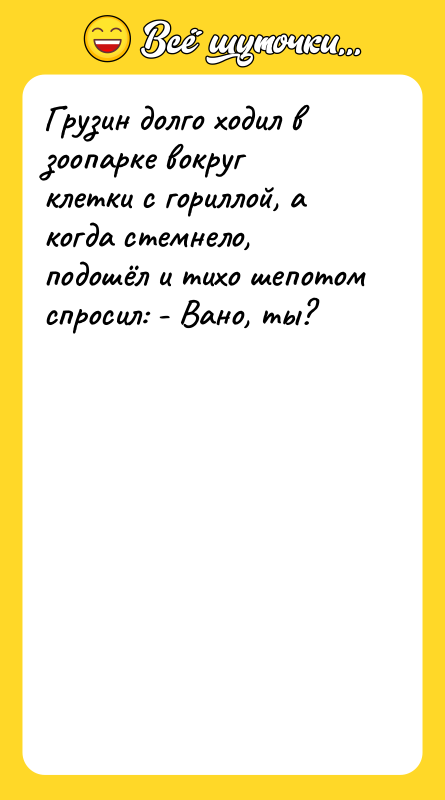 Грузин долго ходил в зоопарке вокруг клетки с гориллой, а