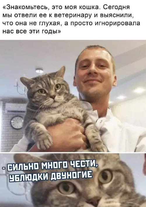 Смешная картинка №708473