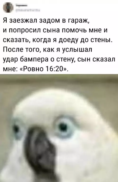 Смешная картинка №683654