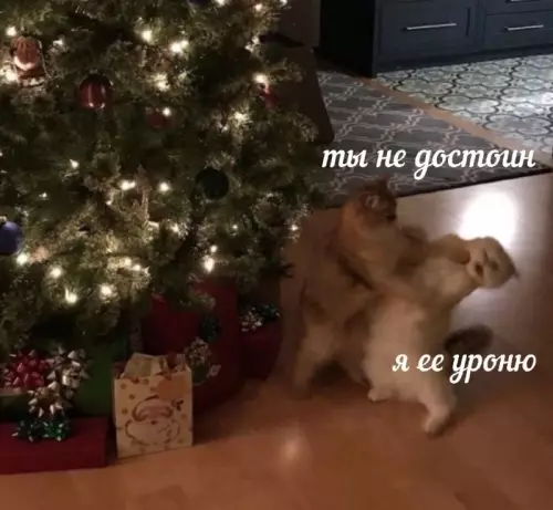 Смешная картинка №667567
