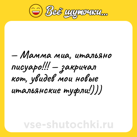 Шутка: — Мамма миа, итальяно писуаро!!! — закричал кот, увидев мои новые итальянские туфли!)))