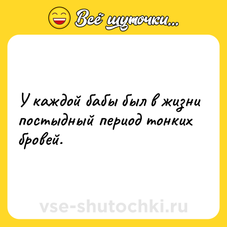 Шутка: У каждой бабы был в жизни постыдный период тонких бровей.