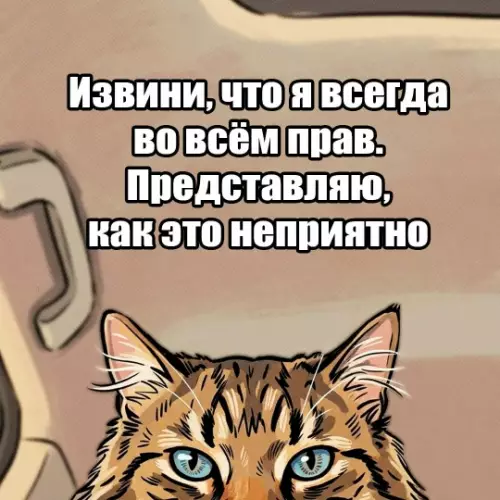 продолжение Извинения с кошачьим шармом