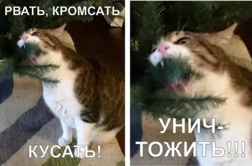 Смешная картинка №234566
