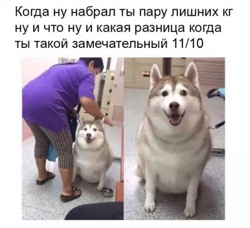 Смешная картинка №284594