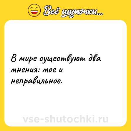 Шутка: В мире существуют два мнения: мое и неправильное.