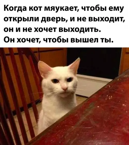 Смешная картинка №679610